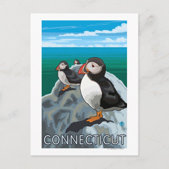 ConnecticutPuffins-Szene Postkarte (Vorderseite)