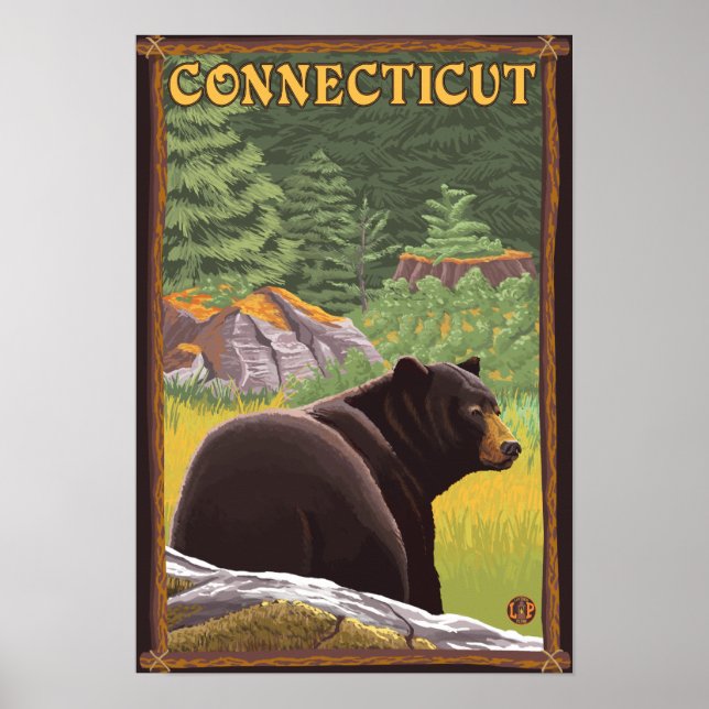ConnecticutSchwarzer Bär im Wald Poster (Vorne)