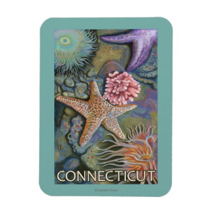 ConnecticutTidepool Scene Magnet