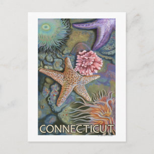 ConnecticutTidepool Scene Postkarte
