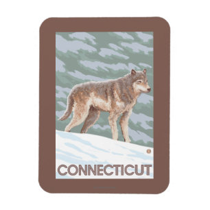 ConnecticutWolf-Szene Magnet