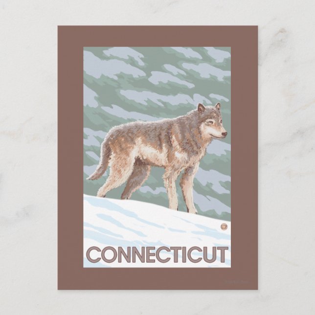 ConnecticutWolf-Szene Postkarte (Vorderseite)