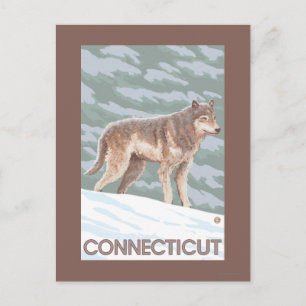 ConnecticutWolf-Szene Postkarte