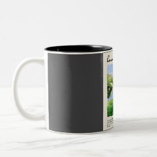 Connemara Aquarell Reise Vintage Zweifarbige Tasse