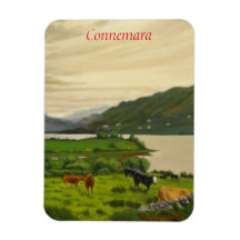 Connemara Irland Landschaftlicher Rinderzuchtbetri