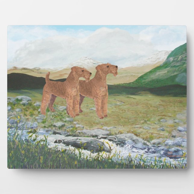 Connemara Landschaft Fotoplatte (Vorderseite)