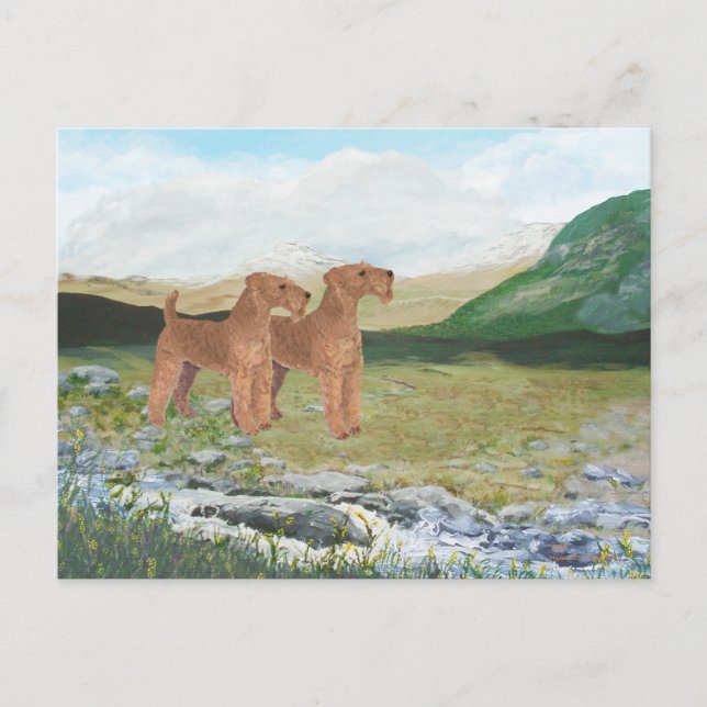 Connemara Landschaft Postkarte (Vorderseite)