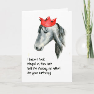 Connemara Pony Humour Birthday Card Karte