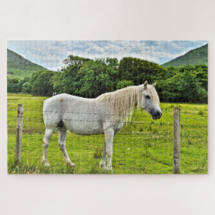 Connemara pony, Irland Puzzle