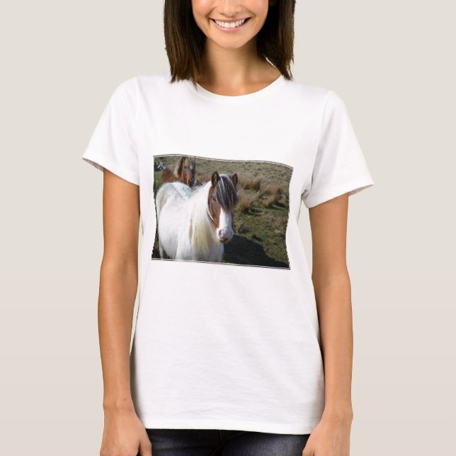 Connemara Pony T-Shirt (Vorderseite)
