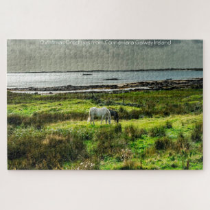 Connemara-Ponys Galway Irland. Puzzle