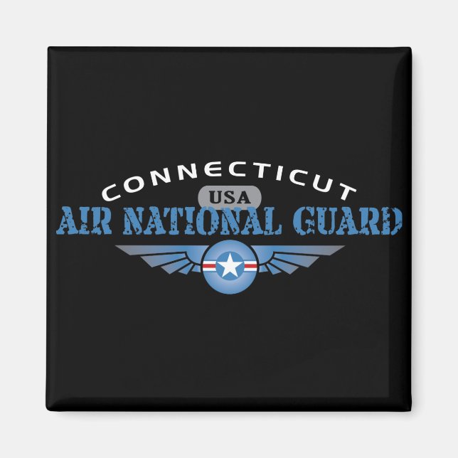 Conneticut Air National Guard Magnet (Vorne)