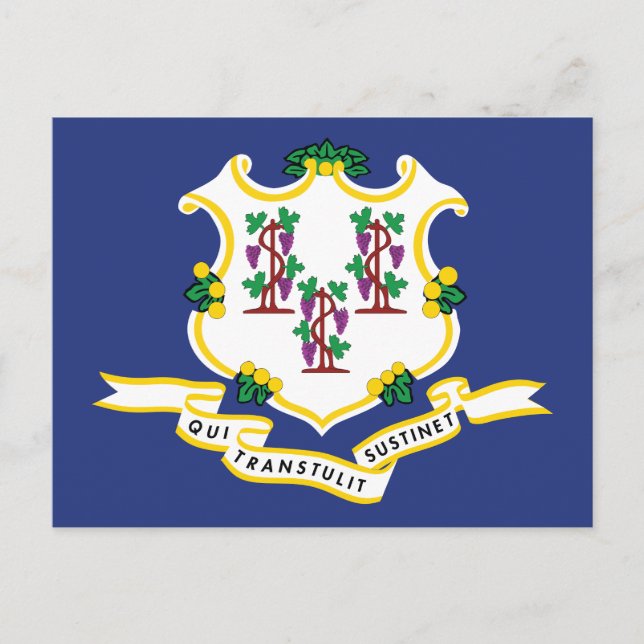 Conneticut Flag Souvenir Nutmeg Staat Shield Postkarte (Vorderseite)