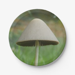 Conocybe rickenii Mushroom Paper Teller