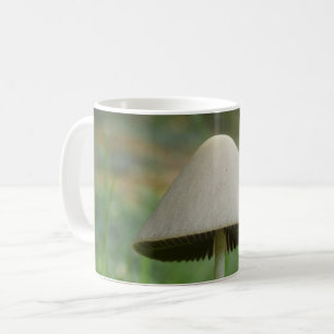 Conocybe rickenii Mushroom-Tasse Tasse