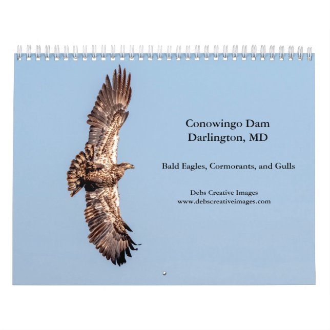 Conowingo Dam 2026 Kalender (Titelbild)