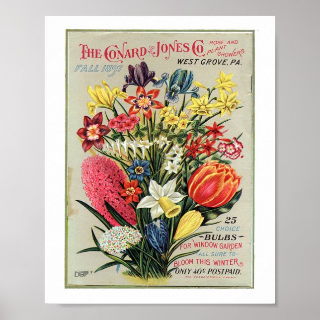 Conrad & Jones 1897 Rose- und Pflanze-Erzeuger Poster (Vorne)