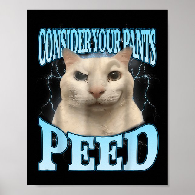 Consider Your Pants Peed Funny Freak Cat Meme Humo Poster (Vorne)