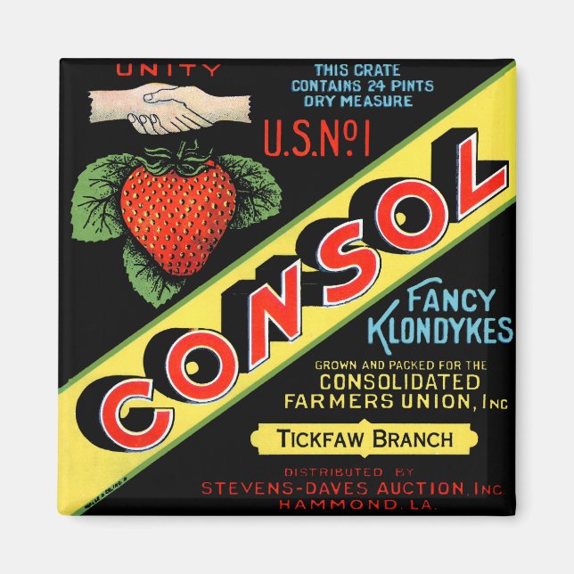 Consol Extravagant Klondykes Strawberries Magnet (Vorne)