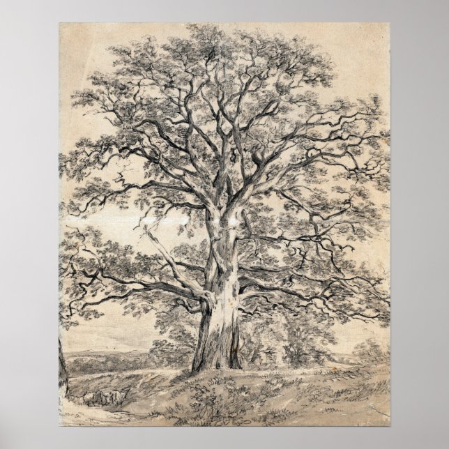 Constable - A Great Oak Tree 1801 Poster (Vorne)