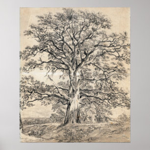 Constable - Eine große Eiche 1801 Poster