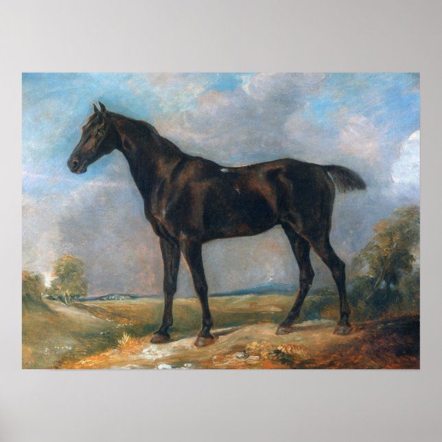 Constable - Golding's Black Riding-Horse Poster (Vorne)
