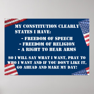 CONSTITUTIONAL RIGHTS POSTER