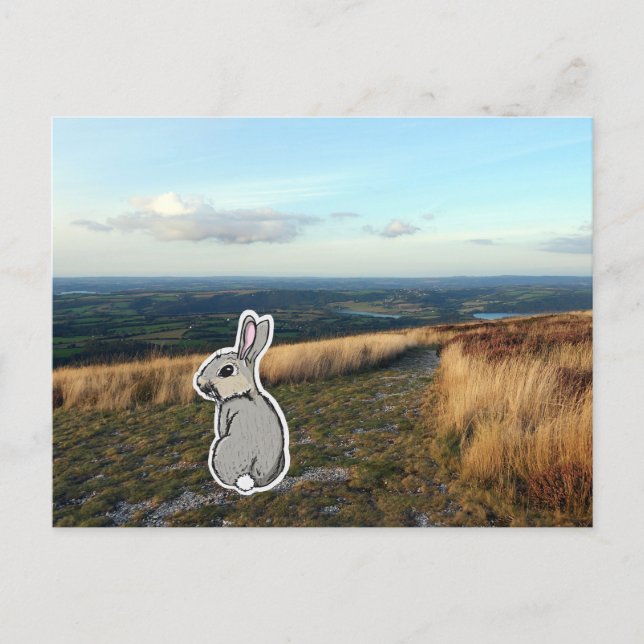 Contemplative Rabbit (color) Postkarte (Vorderseite)