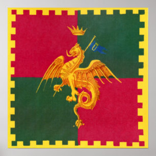 Contrada del Drago (Drache) Palio di Siena Poster