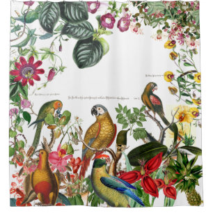 Conure Macaw-Papageien-Vogel-tropischer Duschvorhang