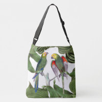 Conure Papageien-Vogel-Tier-TierTaschen-Tasche
