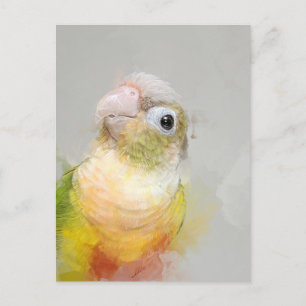 Conure Portrait 012 Postkarte