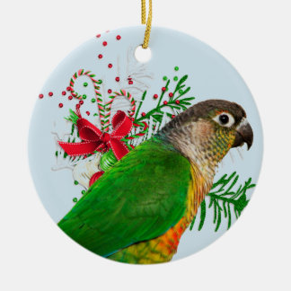 Conure wärmt die Feiertage Keramik Ornament