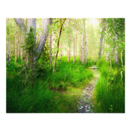 Convict Lake Aspens and Lush Grass Photo Wall Art Fotodruck