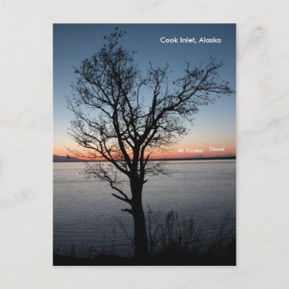 Cook Inlet mit Denali und Foraker - Alaska Postkarte