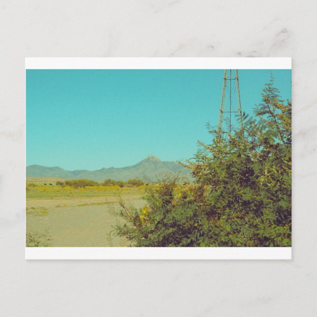 Cookes Peak Postcard 10 Postkarte (Vorderseite)