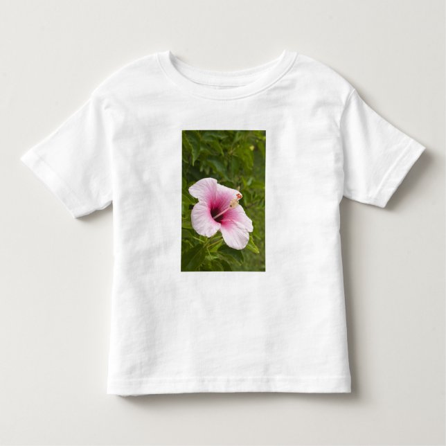 Cookinseln, Atiu. Blume des Hibiskus. Kleinkind T-shirt (Vorderseite)