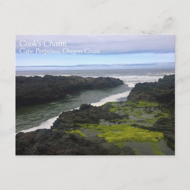 Cook's Chasm, Cape Perpetua, OR Postkarte (Vorderseite)