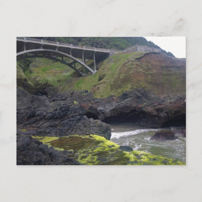 Cook's Chasm, Cape Perpetua, Oregon Postkarte (Vorderseite)