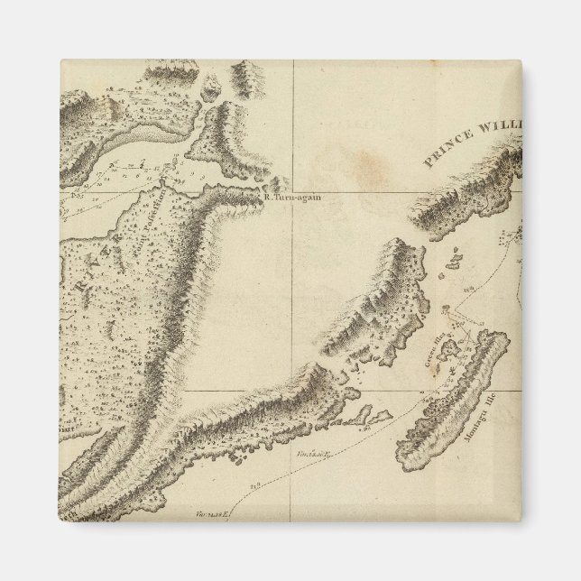 Cooks River, Alaska Magnet (Vorne)