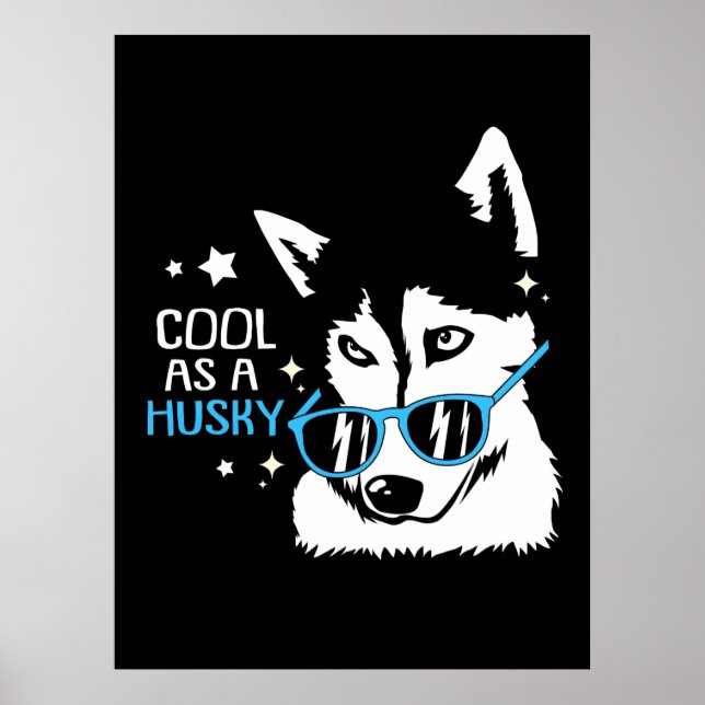 Cool als Huskyhund Poster (Vorne)