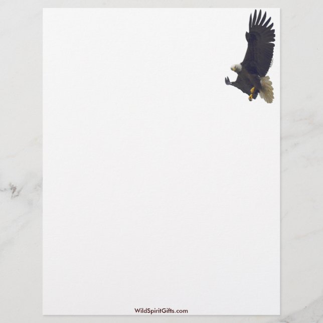 Cool Bald Eagle Wildlife Collection Briefkopf (Vorderseite)