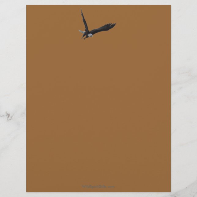 Cool Bald Eagle Wildlife Collection Briefkopf (Vorderseite)