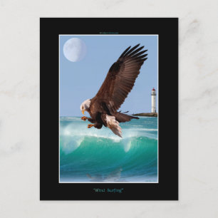 Cool Bald Eagle Wildlife Collection Postkarte