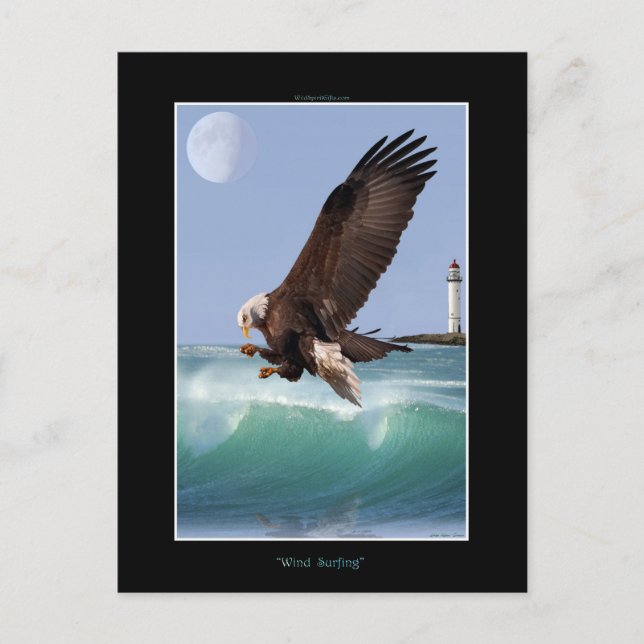 Cool Bald Eagle Wildlife Collection Postkarte (Vorderseite)
