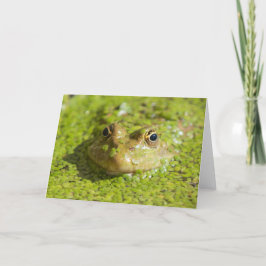 cool behaltend karte