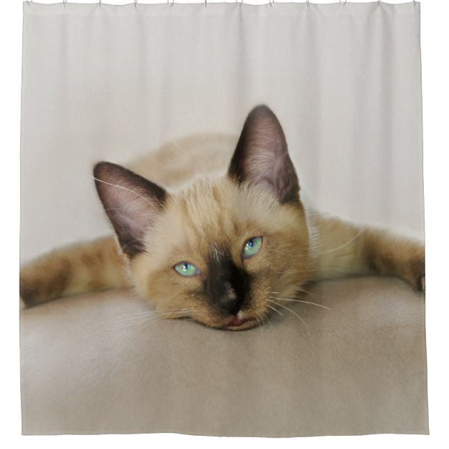 Cool bleibe und Chill Out Kitten Duschvorhang (Vorderseite)
