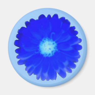 Cool Blue Marigold Magnet