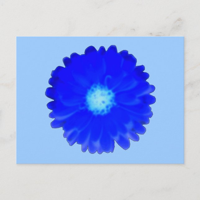 Cool Blue Marigold Postcard Postkarte (Vorderseite)