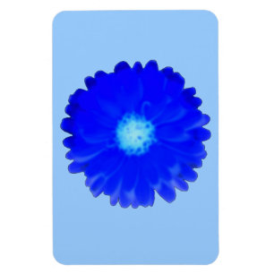 Cool Blue Marigold Premium Magnet